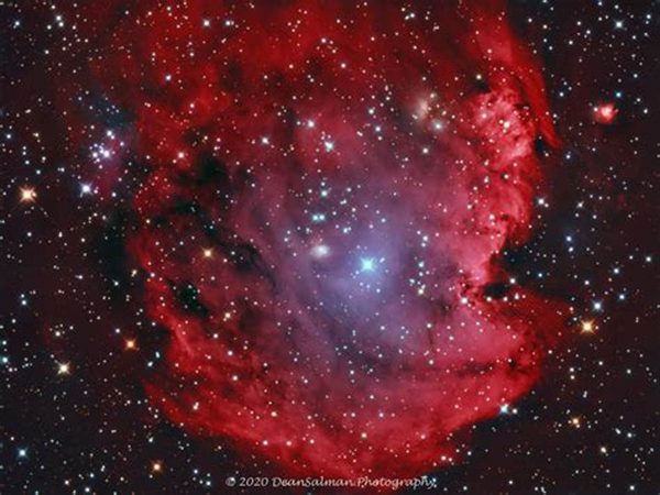 Capture the Cosmos: Budget-Friendly Astrophotography for Beginners